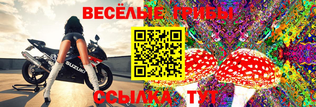 сколько стоит  Вход с VPN  Галлюциногенные грибы мухоморы  Ульяновск  Псилоцибиновые грибы Magic Shrooms 